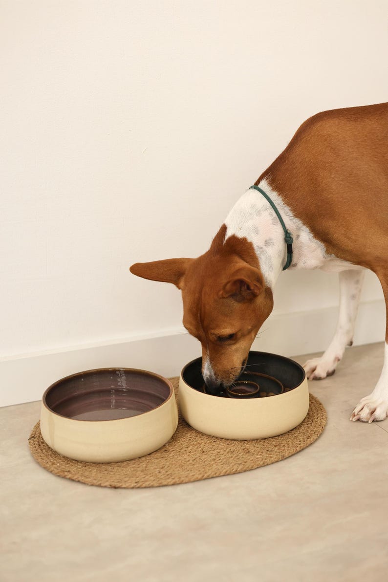 May include: Two round ceramic pet bowls with a cream-colored exterior and a dark interior. One bowl is filled with water, while the other contains food and features a central raised obstacle to slow down eating. The bowls sit on a woven mat.