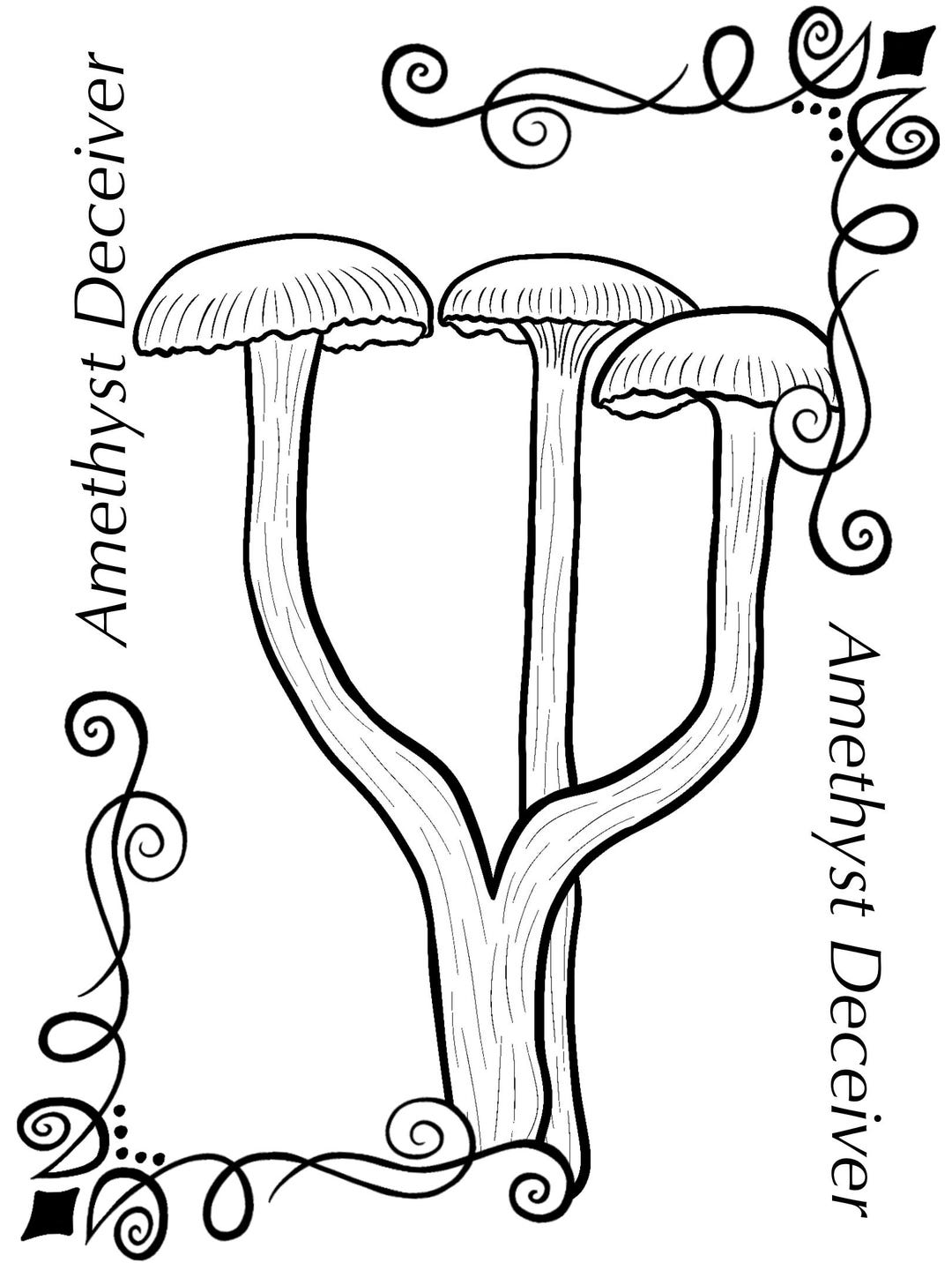 Amethyst Deciver Mushroom Coloring Page - Etsy