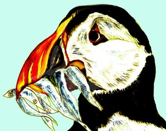 Puffin illustraion A5 A4 and A3 sizes by Sam Parr fine art print