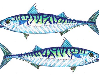 Two Mackerel illustraion A5 A4 and A3 sizes by Sam Parr fine art print fish kitchen art foodie art fish fan fishing enthusiast