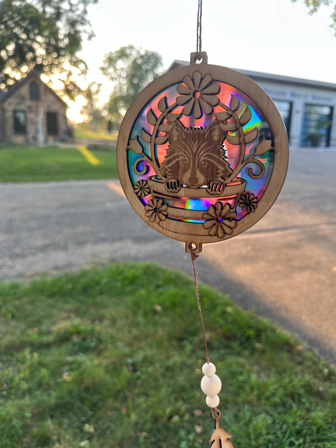 Raccoon Sun Catcher Using Repurposed DVD - Etsy