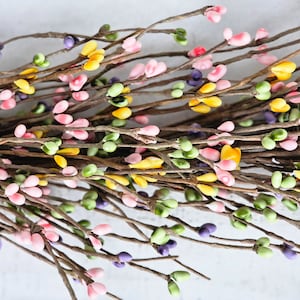 Può includere: Un mazzo di rami di ramoscelli con piccole bacche colorate. Le bacche sono rosa, gialle, verdi e viola. I rami sono marroni e hanno un aspetto naturale e rustico.