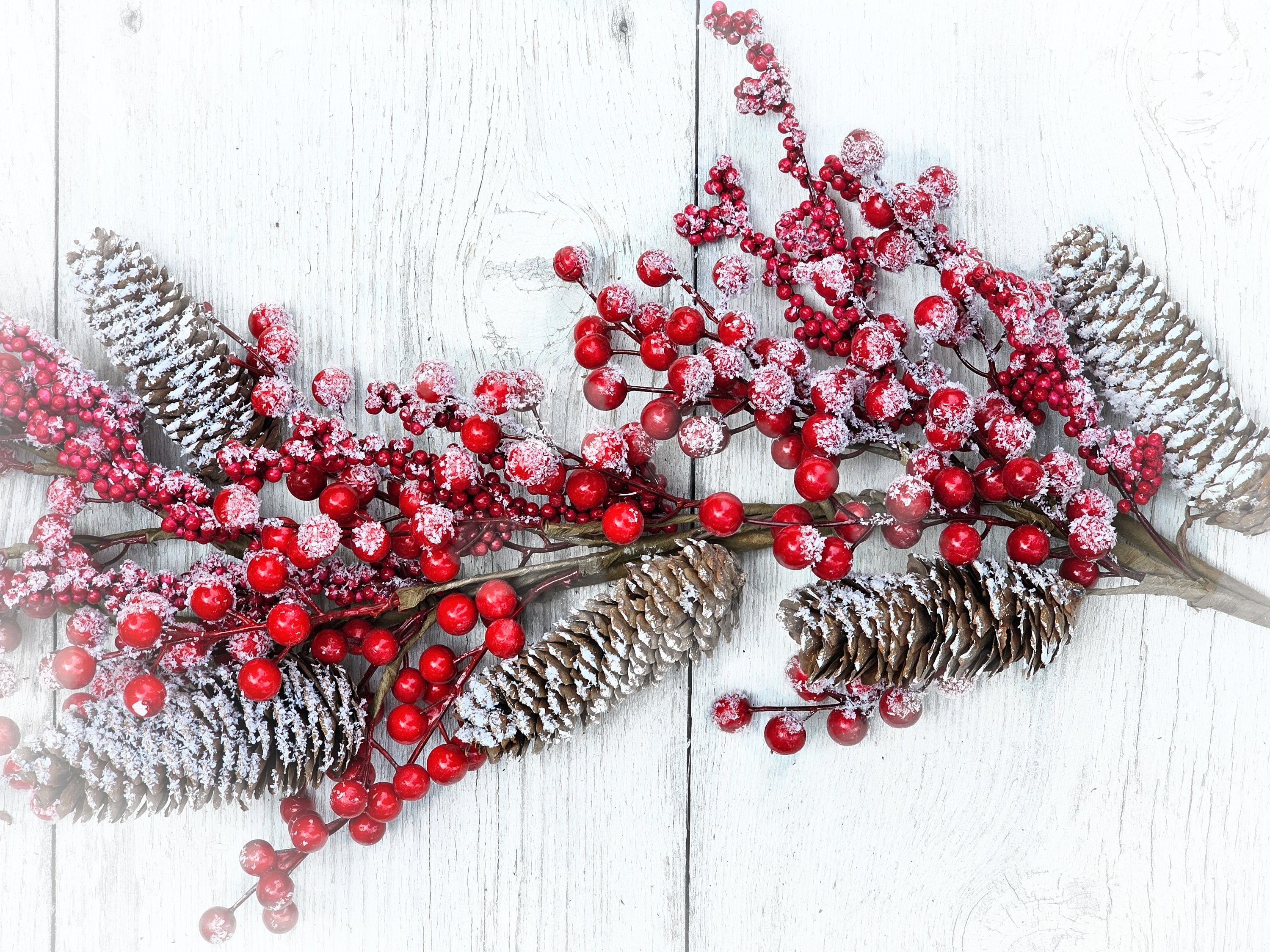 Winter Garland- 5' Frosted Red Berry and Pinecone Garland-Mantle