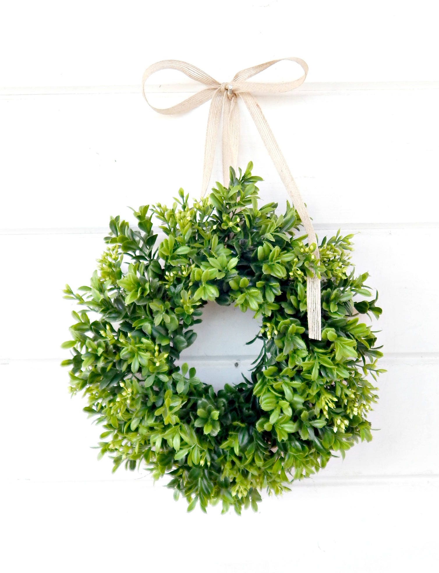 - Miniature Boxwood Wreath Delight