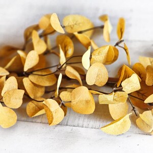 May include: A bunch of dried eucalyptus leaves in shades of yellow and brown. The leaves are arranged in a loose, natural cluster, with some leaves overlapping others.