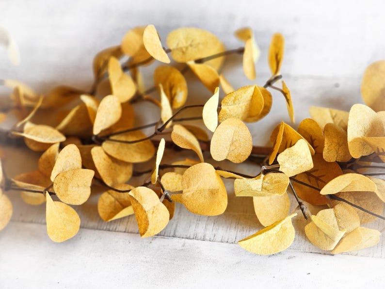 May include: A bunch of dried eucalyptus leaves in shades of yellow and brown. The leaves are arranged in a loose, natural cluster, with some leaves overlapping others.