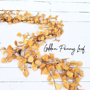 May include: A garland of golden penny leaf eucalyptus branches on a white wood background. The text "Golden Penny Leaf" is written in black cursive.