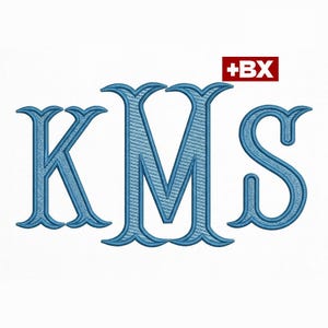 Fuente de bordado de cola de pez, 5 tamaños, 9 formatos + BX, fuente de bordado de contorno de cola de pez, fuente de monograma, descarga instantánea de fuentes BX Fuente de monograma