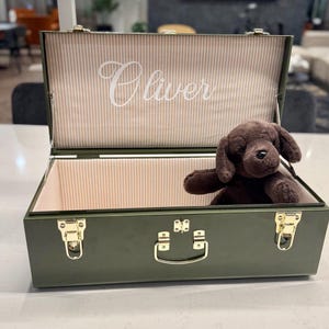 May include: An olive green suitcase with gold-colored hardware, open to reveal a brown stuffed dog inside. The interior is lined with a striped fabric, and the name "Oliver" is written in cursive on the inside of the lid.