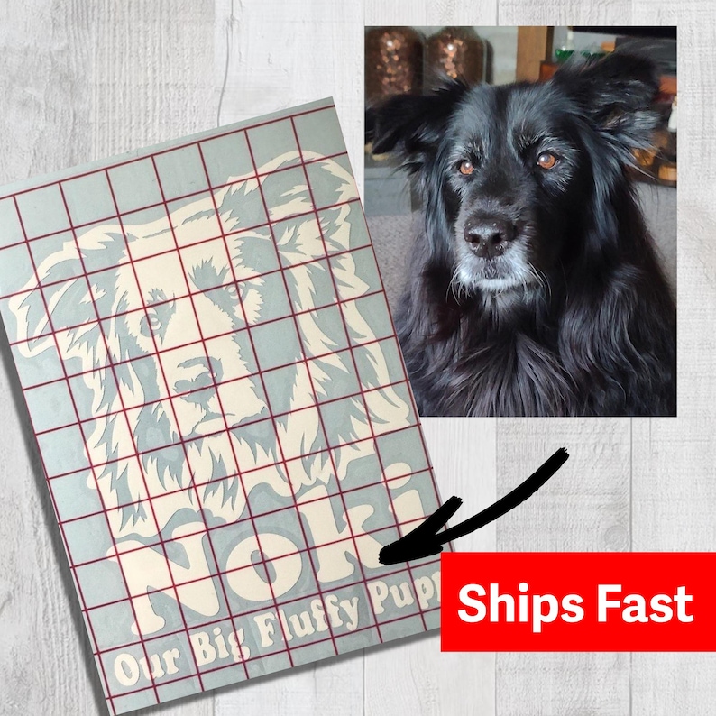 Puede incluir: Una calcoman&iacute;a de vinilo azul claro con un retrato estilizado de un perro negro de pelo largo. Debajo del retrato del perro, el texto dice Noki y Our Big Fluffy Puppy. Un patr&oacute;n de cuadr&iacute;cula roja se superpone. Una flecha negra se&ntilde;ala el texto.