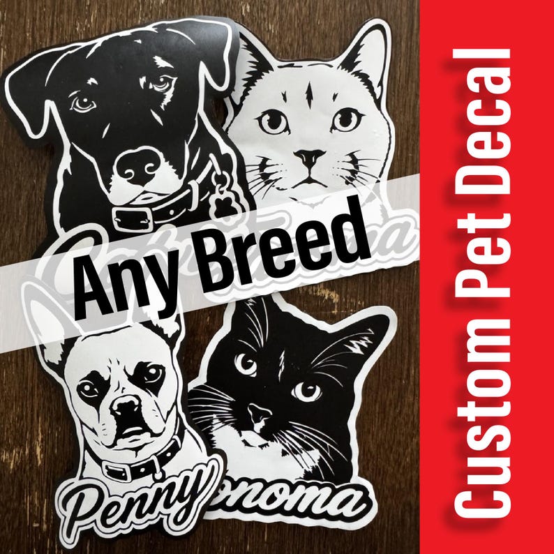Vinilo adhesivo personalizado con retrato de mascota, pegatina personalizada para perro, gráfico resistente a la intemperie para ventanas de coche. imagen 3
