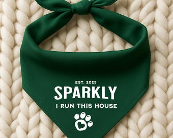 Bandana divertida para mascotas, regalos para amantes de los perros, bandana para perros, seguridad para bebés, regalos para dueños de perros, regalos para mamás de perros, regalos para amantes de las mascotas, regalos divertidos para perros, regalos para dueños de mascotas