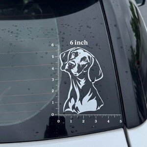 Puede incluir: Un adhesivo de vinilo blanco con la silueta de la cabeza de un perro en la ventana de un coche. El dise&ntilde;o muestra un retrato estilizado de un perro con orejas ca&iacute;das y hocico. Una regla indica una altura de 15,24 cm.