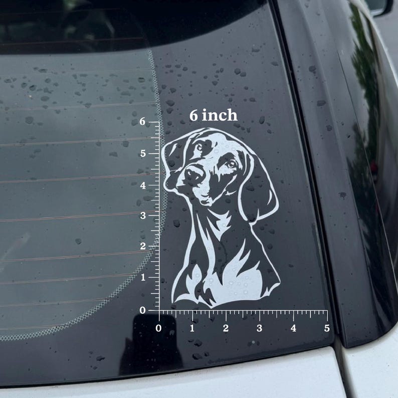 Puede incluir: Un adhesivo de vinilo blanco con la silueta de la cabeza de un perro en la ventana de un coche. El dise&ntilde;o muestra un retrato estilizado de un perro con orejas ca&iacute;das y hocico. Una regla indica una altura de 15,24 cm.