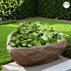 Puede incluir: Un letrero de madera rústica con el texto "Welcome to our home" en letras blancas. El letrero presenta un acabado envejecido y un diseño simple y acogedor, perfecto para la decoración de la entrada.