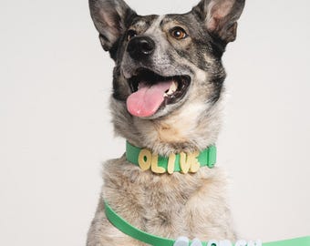 Personalized Pet Name Collar, Pastel Puppy Leash, Anti Lost Dog Necklace&Leash, Dog Outdoor Supplies, Dog Lover Gift