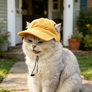 Op de afbeelding: Een zilveren kat draagt een gele corduroy baseballcap met de naam "Emma" op de voorkant geborduurd. De kat zit op een stenen pad voor een huis.