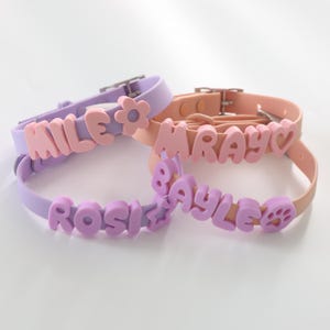 May include: Two silicone collars in lavender and peach, each featuring raised, block-letter names. The lavender collar displays the names MILE and ROSI with a flower and star icon. The peach collar shows MRAY and BAYLE with a heart and paw print.