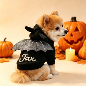 Peut inclure: Un petit chien portant un sweat-shirt à capuche noir avec des ailes de chauve-souris et le nom Jax brodé en écriture blanche au dos. Le sweat-shirt présente une capuche avec de petites oreilles et des ailes argentées scintillantes.