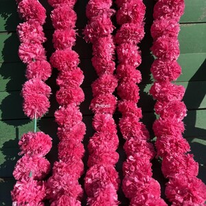 Puede incluir: Varias guirnaldas de flores de papel rosa brillante cuelgan sobre un fondo verde. Cada guirnalda está compuesta por múltiples racimos de flores redondas y esponjosas. Las guirnaldas están suspendidas de un solo hilo verde. La palabra "Pritbell" es visible en la esquina inferior derecha.