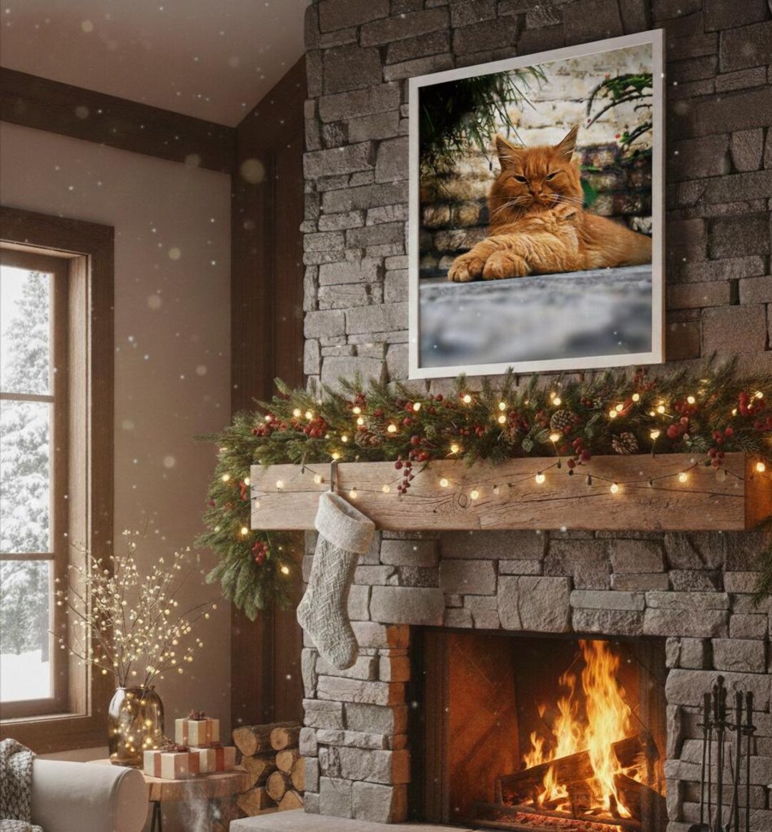 Cozy Cat Portrait Printable Wall Art | Ginger Cat Photography Digital ...