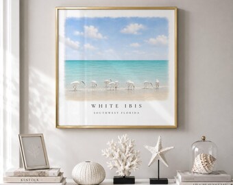 White Ibis Wall Art | Southwest Florida Coastal Print | Beach House Decor | Watercolor Bird Artwork