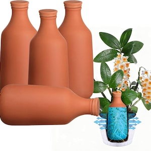 May include: Four terracotta-coloured bottles, three upright and one lying down. The bottles have a classic shape with a rounded body and a narrow neck. The image also shows a plant with green leaves and white and yellow flowers.