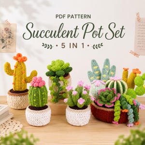 May include: A PDF pattern titled Succulent Pot Set 5 IN 1 featuring five crocheted succulent plants in various colors including yellow, green, and pink, each housed in a textured, crocheted pot or a larger dark red container.