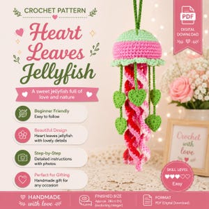 Hartblaadjes kwallen haakpatroon pdf, autospiegel hangende bedel, decor achteruitkijkspiegel, leuk amigurumi-cadeau