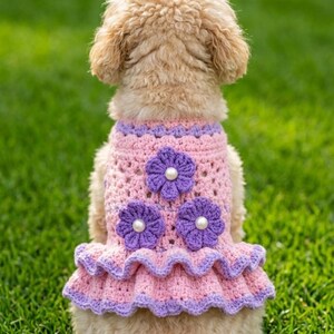 Op de afbeelding: Een kleine hond draagt een roze en paarse gehaakte jurk met bloemaccenten en een gefranjerde zoom. De hond zit op groen gras, van achteren gezien.