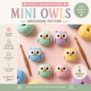 Amigurumi Owl Tutorial, nybörjarvänligt, Mini Owl Plyschmönster|Omedelbar nedladdning PDF