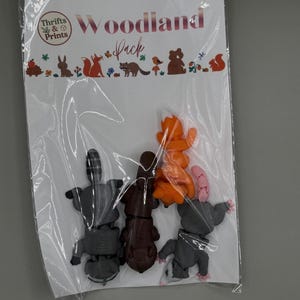 Puede incluir: Una bolsa de plástico transparente que contiene cuatro figuras de animales articuladas: un mapache gris, un oso marrón, un zorro naranja y una zarigüeya gris con cola rosa. La tarjeta superior incluye el texto "Thrifts & Prints" y "Woodland Pack" con ilustraciones de animales.