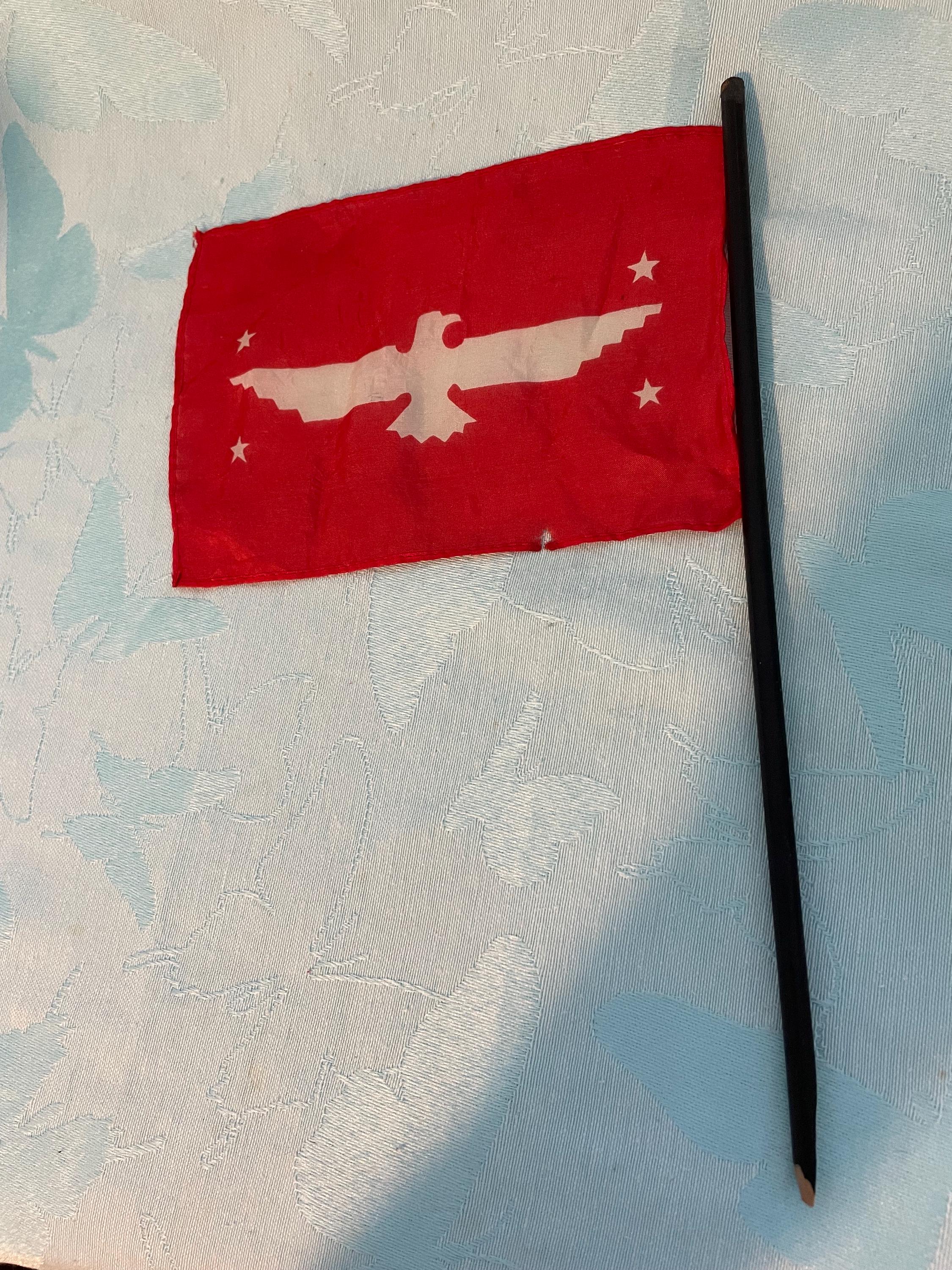 Apl Raffles Flag Rare Vintage MCM APL., Inc. American President Lines Steamship Cruise ...