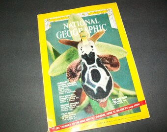 Vintage National Geographic Magazine, Vintage Ads, Junk Journal Supply, Collage Art, Mixed Media Art, Vintage Paper Ephemera, Paper Crafts