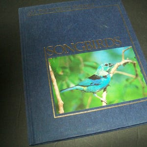 May include: A blue book with the title "Songbirds" on the cover. The cover features a photograph of a blue bird perched on a branch in a green leafy tree.