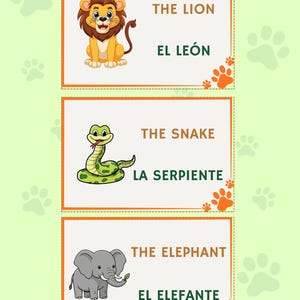 May include: Educational flashcards featuring animal illustrations. The cards display a lion, snake, and elephant, each with English and Spanish names. The background is light green with paw prints and orange accents.