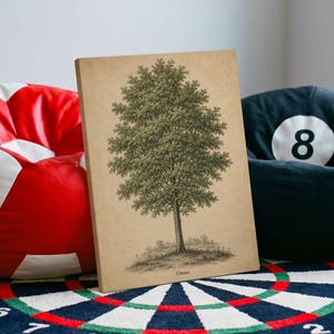 Può includere: Una stampa su tela rettangolare che presenta un'illustrazione botanica dettagliata di un albero con fogliame verde su sfondo beige. La parola Ulmus è stampata in piccoli caratteri neri nella parte inferiore centrale dell'illustrazione.