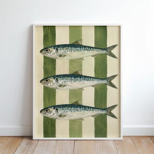 Könnte beinhalten: Ein gerahmter Kunstdruck mit drei horizontal ausgerichteten, vertikal übereinander angeordneten Fischen. Die Fische sind in Silber-, Blau- und Grautönen gehalten. Der Hintergrund besteht aus abwechselnden vertikalen Streifen in Olivgrün und Creme.