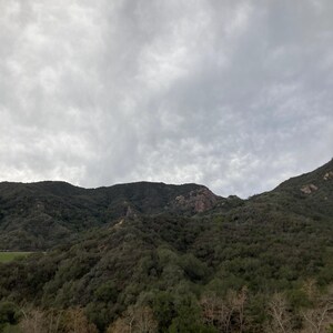 May include: A landscape photograph featuring a mountain range covered in dense, dark green trees under a cloudy, overcast sky. The sky is a mix of gray and white, with the mountains in the background.