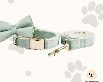Adjustable velvet dog collar and leash set, gold dog collar and leash set, dog collar and harness set