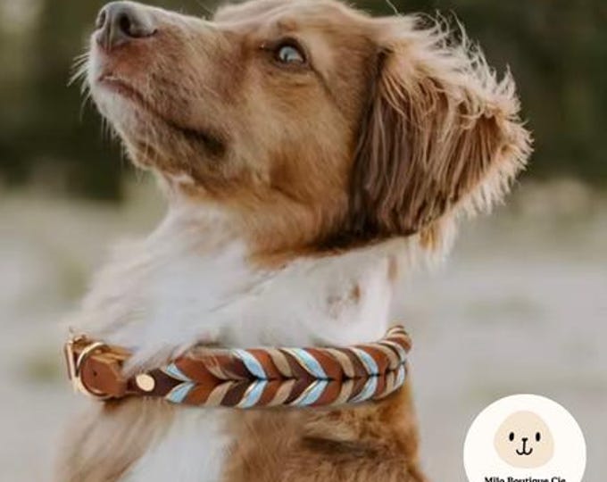 Featured listing image: Genuine leather puppy collar, strong and durable, for medium and large dogs, braided, colorful nylon rope
