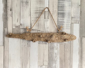 Driftwood Gnarly Wall Hanging Art