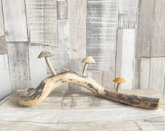 Driftwood and Limpet Shell Mushroom Coastal Decor