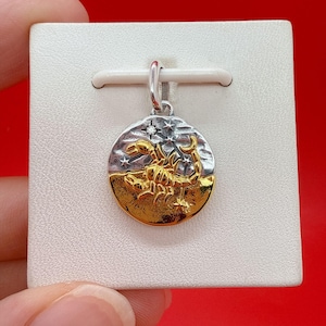 Könnte beinhalten: Ein runder Anhänger mit einem goldenen Skorpion-Relief auf der unteren Hälfte und einem silberfarbenen, texturierten Hintergrund mit kleinen Sternen und einem einzelnen klaren Stein auf der oberen Hälfte. Mit silberner Öse zum Aufhängen.