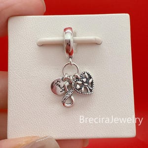 Puede incluir: Un charm de plata con un disco "Family", un símbolo de infinito y un charm en forma de corazón con un diseño de árbol. El charm está unido a un cierre de plata. El fondo es una tarjeta blanca sobre una superficie roja.