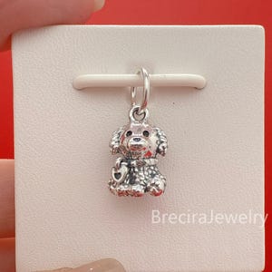 Könnte beinhalten: Ein silberner Charm in Form eines Pudels mit einem herzförmigen Anhänger. Er hängt an einer silbernen Schlaufe. Der Charm wird auf einer weißen Karte mit dem Text "BreciraJewelry" präsentiert.