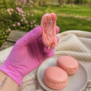 May include: A close-up of a pink macaron, with a bite taken out of it, held by a gloved hand. Two whole macarons sit on a small plate. The background is a blurred outdoor scene with greenery and pink flowers.