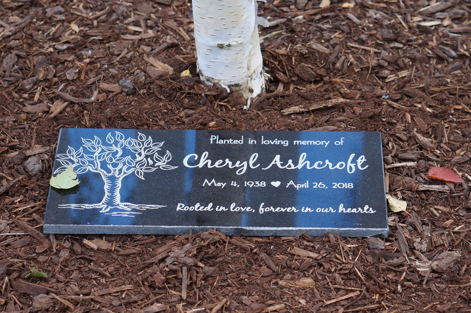 Tree Planting Memorial Plaque Granite Customized for Garden Etsy