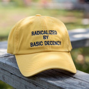 Geborduurde pet met Radicalized by Basic Decency, pet voor social Justice