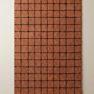 Peut inclure: Un tapis rectangulaire avec un motif quadrillé. Le tapis est d'une couleur orange chaud et terreux, avec un quadrillage noir superposé. La texture semble douce et moelleuse, suggérant un revêtement de sol confortable. Le design est moderne et géométrique.